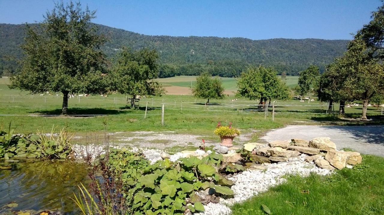 Apartement-Gite Rural A 3 Km De Delemont Courcelon Zewnętrze zdjęcie